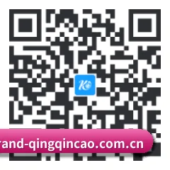 iOS 果粉吃瓜版 二维码